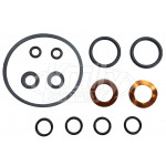 Acorn 2438-000-001 Safti-Trol Cartridge O-Ring Repair Kit