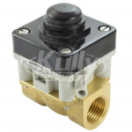 Intersan Repair Kit for Collective Foot Valve Only