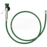 Haws 8901B Wall-Mounted Drench Hose