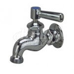 Zurn Z81301-XL Wall-Mounted Single Sink Faucet