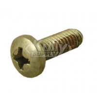 T&S Brass 000933-45 Seat Screw