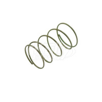 Bradley 135-051 Diaphragm Spring