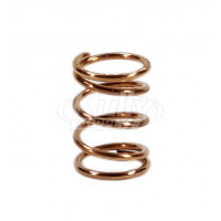 T&S Brass 000894-45M Spring (Qty 25)