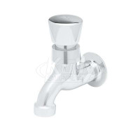 T&S Brass B-0700-01 Sill Faucet