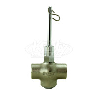 Speakman SE-901 Self-Closing Valve, 1" Female Inlet, 1" Female Outlet