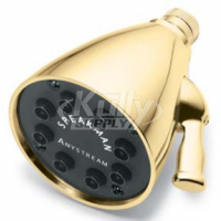 Speakman S-2251-PB 8-Jet Anystream Showerhead - Polished Brass
