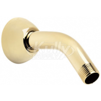 Speakman S-2520-PB 5 1/2" Arm & Flange w/ 1/2" MNPT Inlet & Outlet - Polished Brass