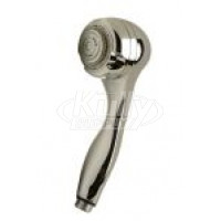 Zurn Z7000-H1 Hand Held Shower Head