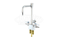 WaterSaver L68VB-WSA Science Lab Faucet