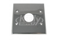 Sloan HY-66 Cover Plate