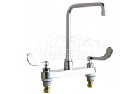 Chicago 1100-HA8AE35-317AB Hot and Cold Water Sink Faucet