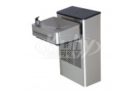 Haws 1201SF Wall Mounted Filtered Drinking Fountain