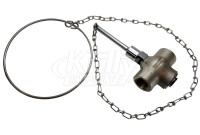 Speakman SE-901-CR Self-Closing Valve, 1" Female Inlet, 1" Female Outlet, Includes Chain & Ring