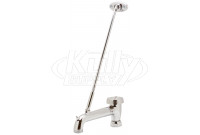 Zurn G60555 5" Vacuum Breaker Spout - Rough Chrome 