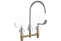 Chicago 201-AGN8FC317ABCP Concealed Hot and Cold Water Sink Faucet