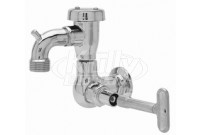 Fisher 29548 Faucet