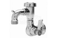 Fisher 29556 Faucet 