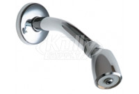 Chicago 620-AVPCP Shower Head and Arm