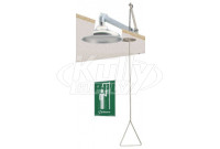 Haws 8169 Recessed Ceiling-Mounted Drench Shower