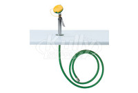 Haws 8904 Deck-Mounted Drench Hose