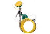 Haws 8905 Wall-Mounted Drench Hose