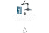 Chicago 9101-NF Drench Shower