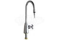 Chicago 969-217XLHCTF Deck Mounted Distilled Water Faucet