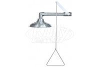 Guardian G1691 Horizontally-Mounted Stainless Steel Drench Shower