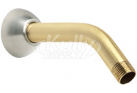 Speakman S-2500-SBA-SCF 7" Brass Arm & Flange w/ 1/2" MNPT Inlet & Outlet - Brushed Brass & Brushed Chrome