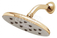 Speakman S-2559-PB Downpour Rain Showerhead - Polished Brass (Discontinued)