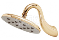 Speakman S-2659-PB Downpour Rain Showerhead - Polished Brass (Discontinued)