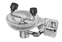 Bradley S19-220TPT Eye/Face Wash (with Stainless Steel Receptor, Tailpiece, and P-Trap)