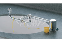 Bradley S19-270C Swing-Activated Eyewash