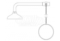 Speakman SE-225 Drench Shower