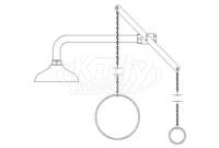 Speakman SE-226 Drench Shower