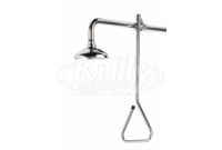 Speakman SE-227-SS Stainless Steel Drench Shower (with Impeller Action Showerhead)