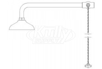 Speakman SE-231 Drench Shower