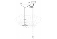 Speakman SE-441 Pedestal-Mounted Eye/Face Wash (with Rectangular Plastic Receptor)