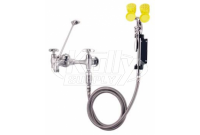 Speakman SEF-9000-FM Wall-Mounted Service Sink Eyewash (with Drench Hose)