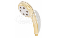 Speakman VS-82620-PB-H 6-Jet Anystream Handheld Showerhead w/ Handle Strap - Polished Brass (Discontinued)