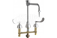 Chicago 786-TWGN2BVBE7CP Service Sink Faucet