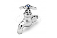 T&S Brass B-0704 Sill Faucet