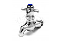 T&S Brass B-0709 Sill Faucet