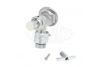 T&S Brass B-0736 Sill Faucet