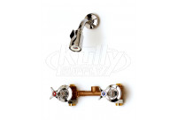 T&S Brass B-1060 Mixing Valve with Adjustable Shower Head