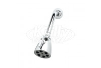 T&S Brass B-1091 Shower Head 