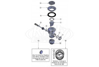 T&S Brass Lever Waste Less Overflow Parts Breakdown