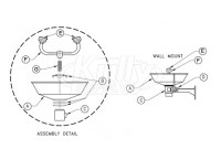 Wall Mount Eyewash