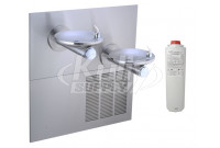 Elkay LRPBGRNMV28K GreenSpec Filtered In-Wall Dual Drinking Fountain with Vandal-Resistant Bubbler