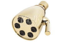 Speakman S-2252-PB 6-Jet Anystream Showerhead - Polished Brass